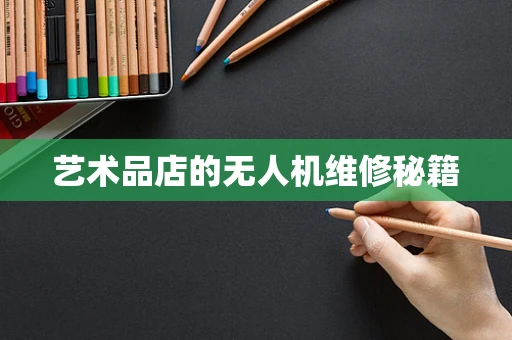 艺术品店的无人机维修秘籍