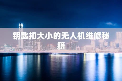 钥匙扣大小的无人机维修秘籍