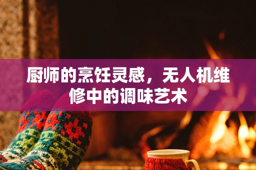 厨师的烹饪灵感，无人机维修中的调味艺术
