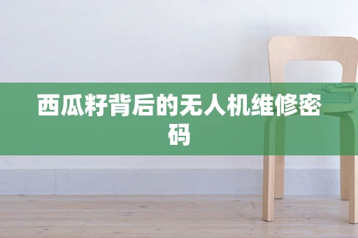 西瓜籽背后的无人机维修密码