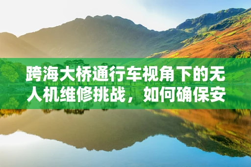 跨海大桥通行车视角下的无人机维修挑战，如何确保安全高效？