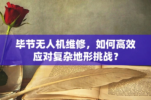 毕节无人机维修，如何高效应对复杂地形挑战？