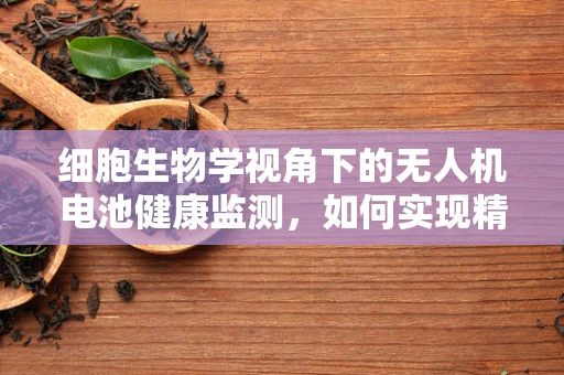 细胞生物学视角下的无人机电池健康监测，如何实现精准维护？