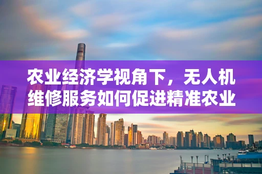 农业经济学视角下，无人机维修服务如何促进精准农业发展？