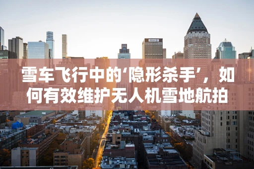雪车飞行中的‘隐形杀手’，如何有效维护无人机雪地航拍装备？