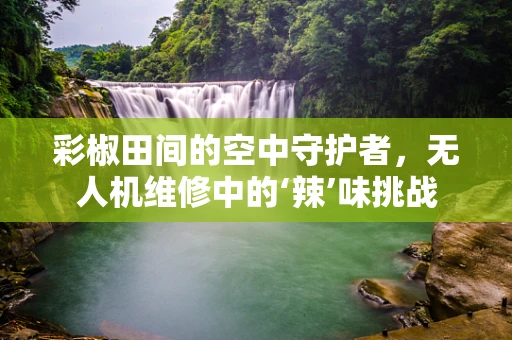 彩椒田间的空中守护者，无人机维修中的‘辣’味挑战