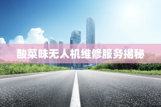 酸菜味无人机维修服务揭秘