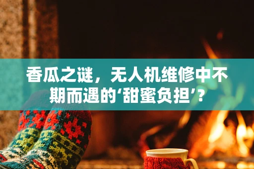 香瓜之谜，无人机维修中不期而遇的‘甜蜜负担’？