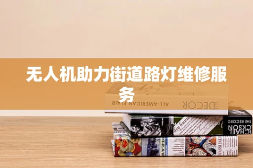 无人机助力街道路灯维修服务