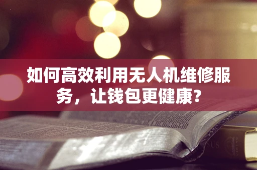 如何高效利用无人机维修服务，让钱包更健康？