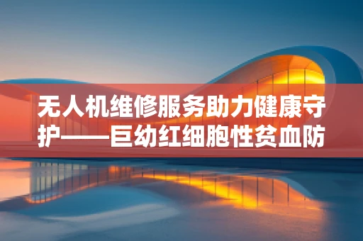 无人机维修服务助力健康守护——巨幼红细胞性贫血防治新探索