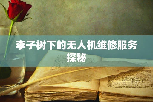 李子树下的无人机维修服务探秘