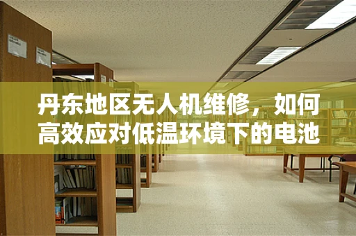 丹东地区无人机维修，如何高效应对低温环境下的电池性能挑战？