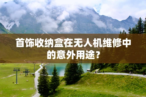 首饰收纳盒在无人机维修中的意外用途？