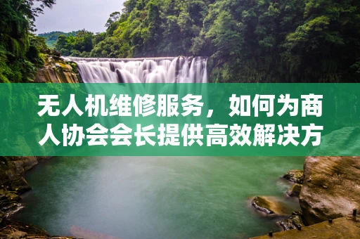 无人机维修服务，如何为商人协会会长提供高效解决方案？