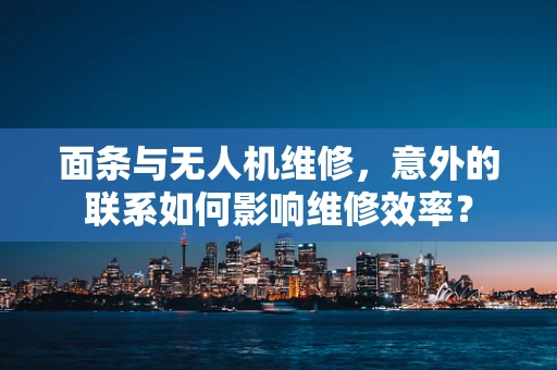 面条与无人机维修，意外的联系如何影响维修效率？