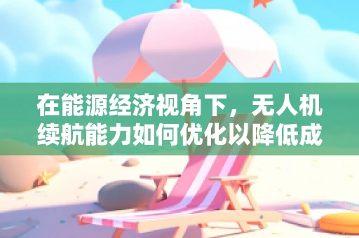 在能源经济视角下，无人机续航能力如何优化以降低成本？