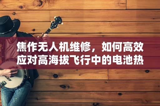 焦作无人机维修，如何高效应对高海拔飞行中的电池热管理挑战？