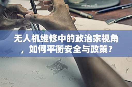 无人机维修中的政治家视角，如何平衡安全与政策？