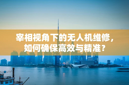 宰相视角下的无人机维修，如何确保高效与精准？