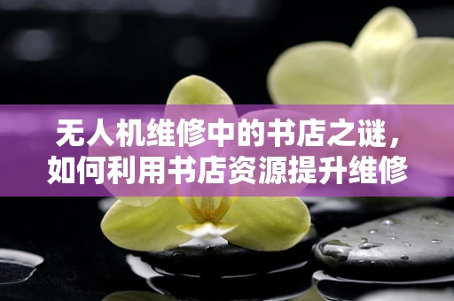 无人机维修中的书店之谜，如何利用书店资源提升维修效率？