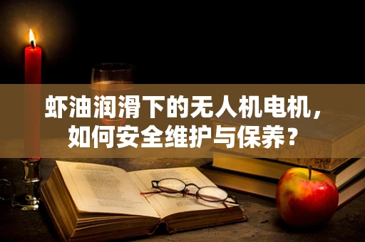虾油润滑下的无人机电机，如何安全维护与保养？