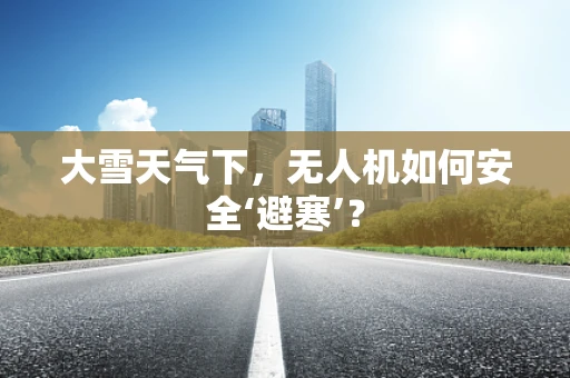 大雪天气下，无人机如何安全‘避寒’？