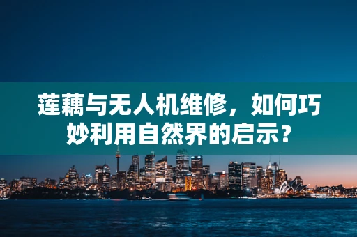 莲藕与无人机维修，如何巧妙利用自然界的启示？