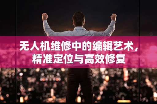无人机维修中的编辑艺术，精准定位与高效修复