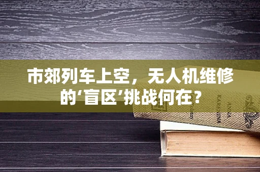 市郊列车上空，无人机维修的‘盲区’挑战何在？