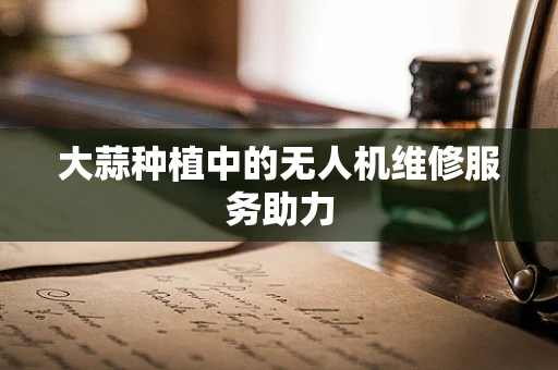 大蒜种植中的无人机维修服务助力