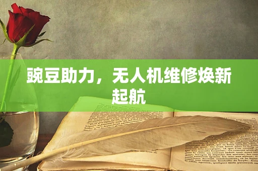 豌豆助力，无人机维修焕新起航