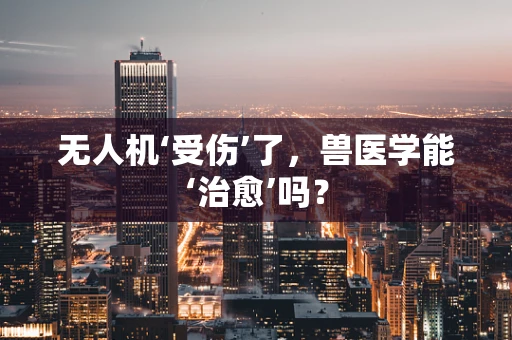 无人机‘受伤’了，兽医学能‘治愈’吗？