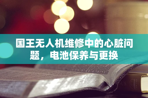 国王无人机维修中的心脏问题，电池保养与更换