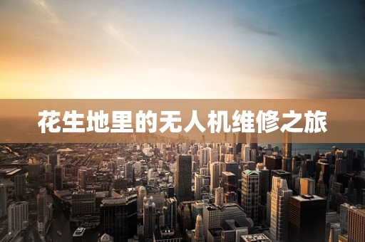 花生地里的无人机维修之旅