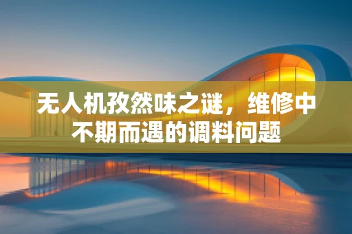 无人机孜然味之谜，维修中不期而遇的调料问题