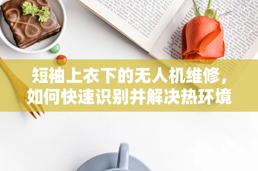 短袖上衣下的无人机维修，如何快速识别并解决热环境下的设备故障？