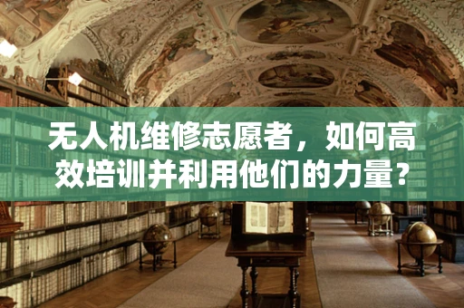 无人机维修志愿者，如何高效培训并利用他们的力量？