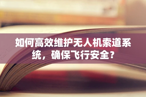 如何高效维护无人机索道系统，确保飞行安全？