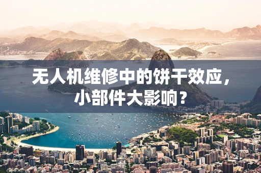无人机维修中的饼干效应，小部件大影响？