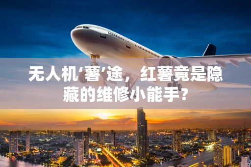 无人机‘薯’途，红薯竟是隐藏的维修小能手？