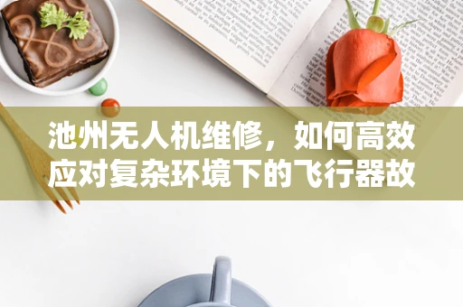 池州无人机维修，如何高效应对复杂环境下的飞行器故障？