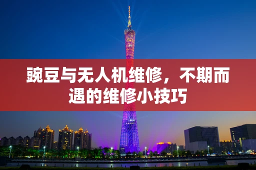 豌豆与无人机维修，不期而遇的维修小技巧