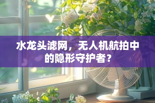水龙头滤网，无人机航拍中的隐形守护者？