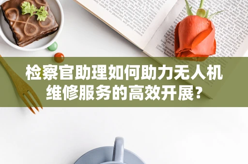 检察官助理如何助力无人机维修服务的高效开展？