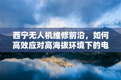 西宁无人机维修前沿，如何高效应对高海拔环境下的电池热管理挑战？