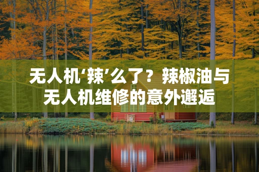 无人机‘辣’么了？辣椒油与无人机维修的意外邂逅