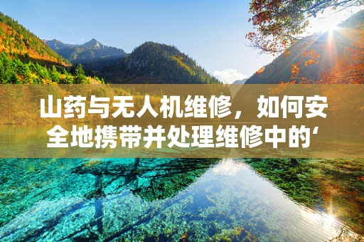 山药与无人机维修，如何安全地携带并处理维修中的‘特殊’部件？
