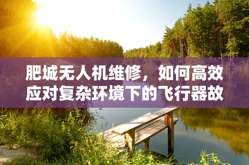 肥城无人机维修，如何高效应对复杂环境下的飞行器故障？