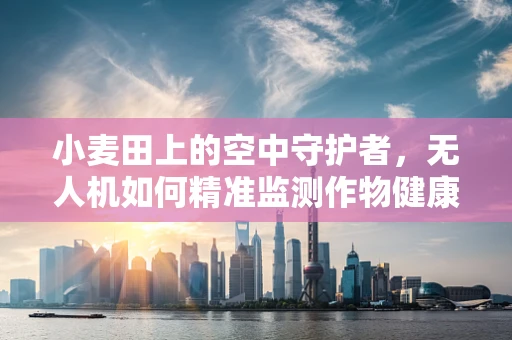 小麦田上的空中守护者，无人机如何精准监测作物健康？